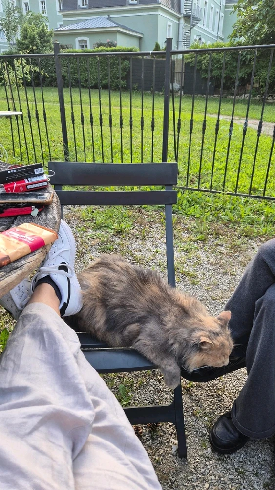 GIF uploaded by Mary