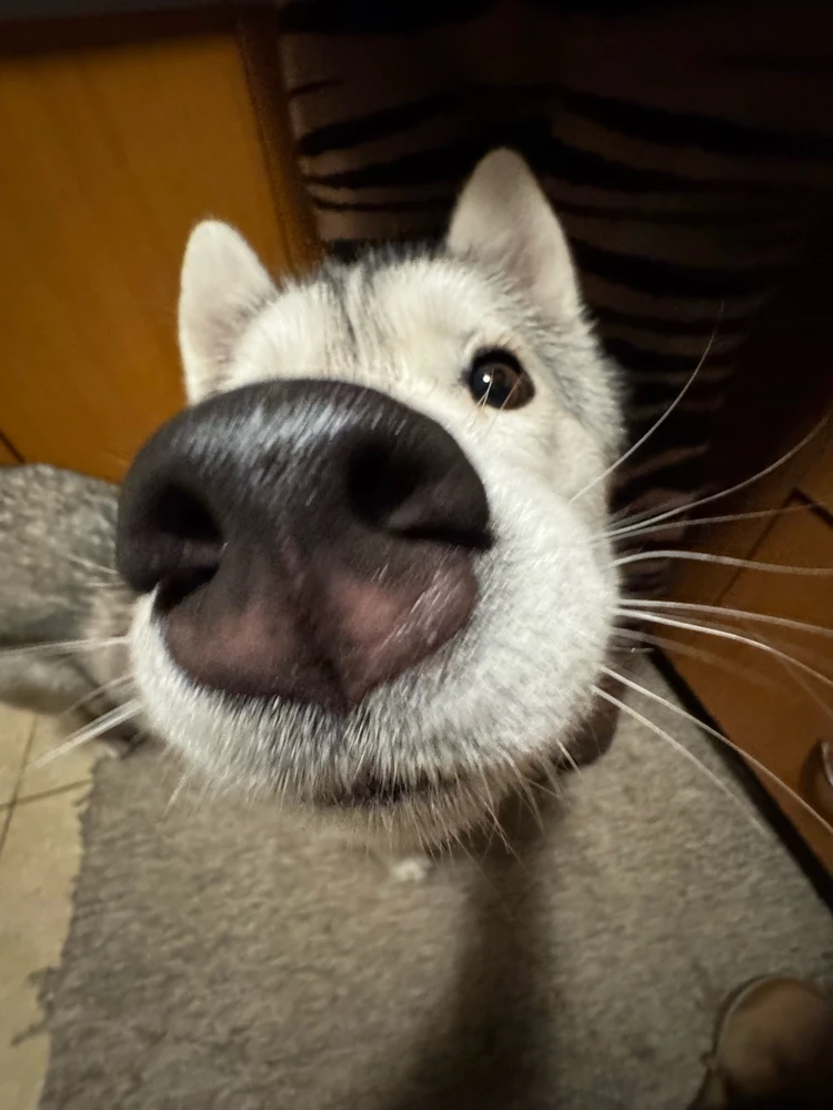 GIF subido por Francisca