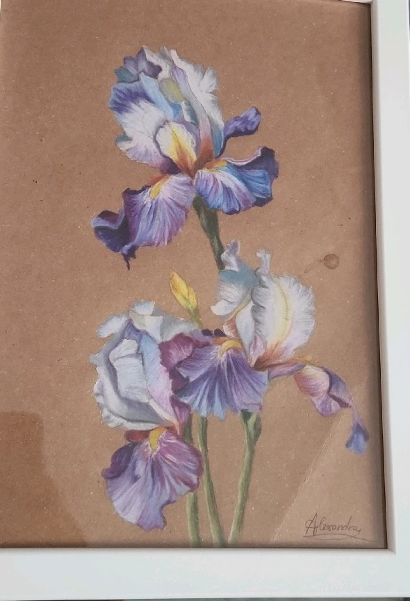 GIF uploaded by Alex