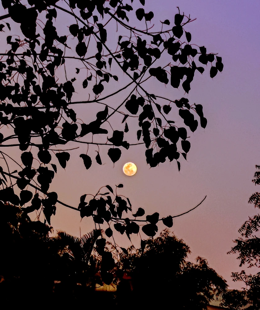 GIF uploaded by Subham