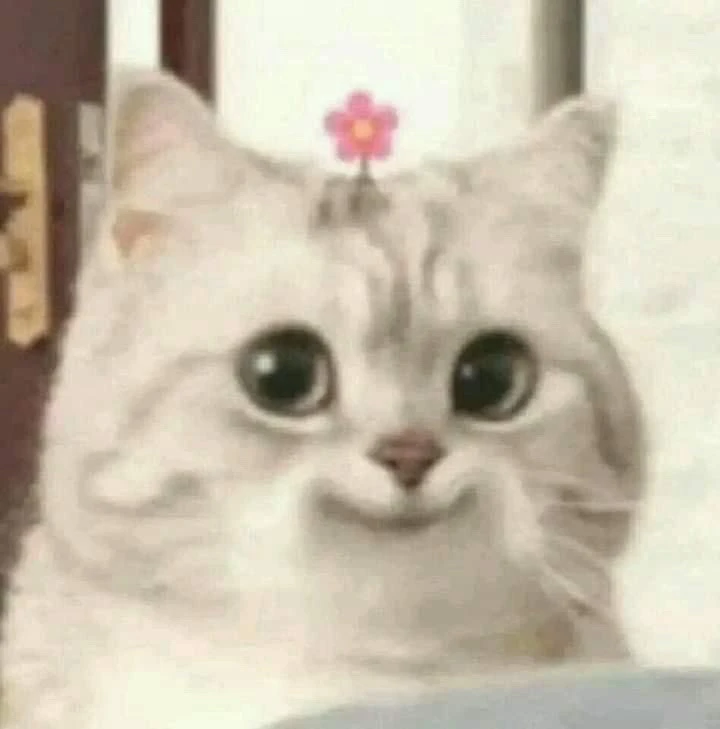 GIF hochgeladen von 🌹✨