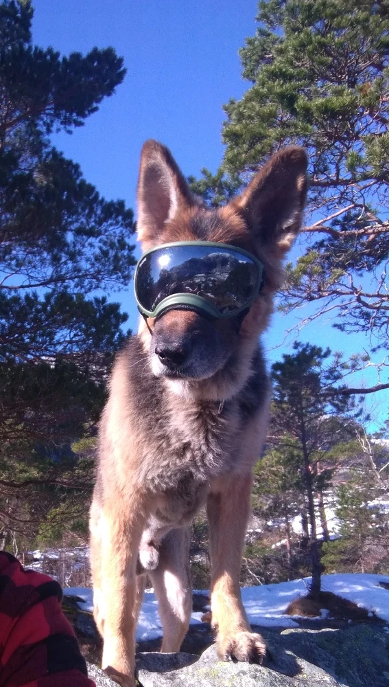 GIF uploaded by Martin