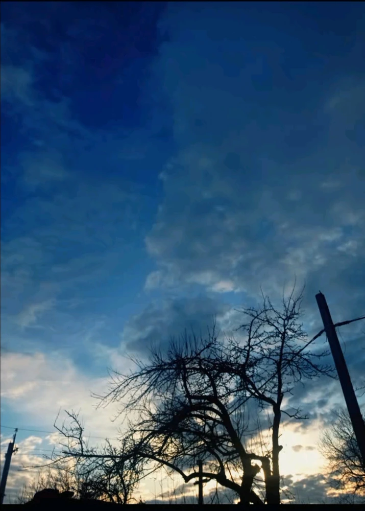 Image uploaded by Alena