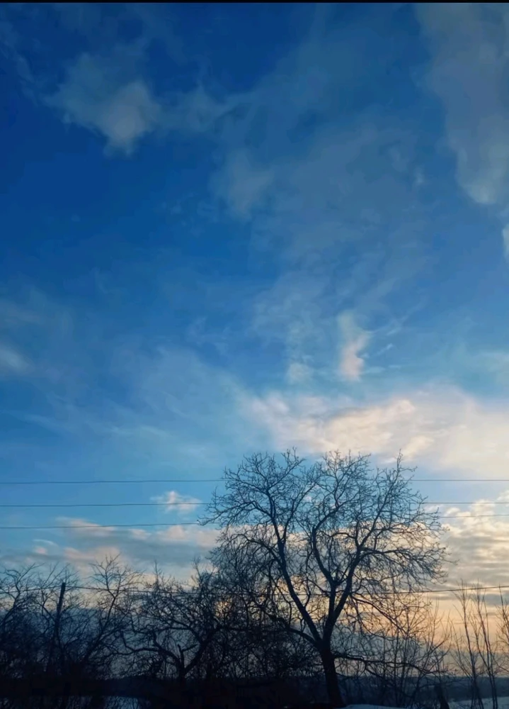 Image uploaded by Alena