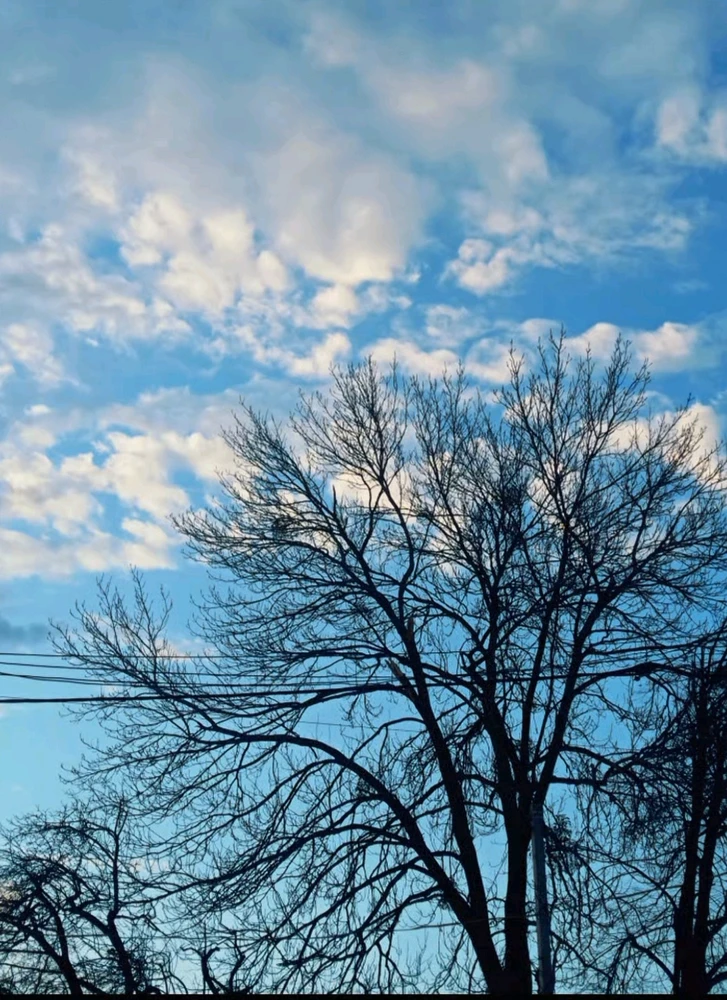 Image uploaded by Alena