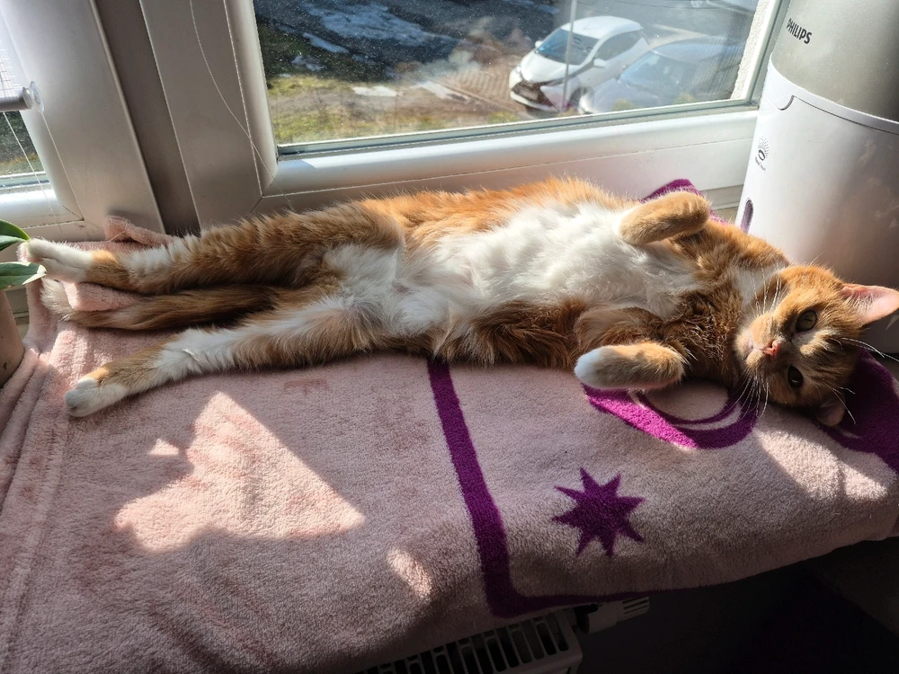 GIF dodany przez Anna