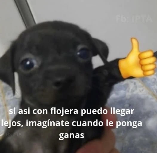 Imagen subida por Yamir