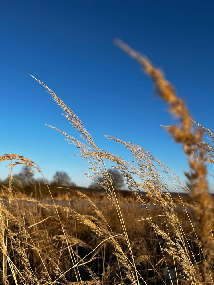 Obrázek nahrál Tereza