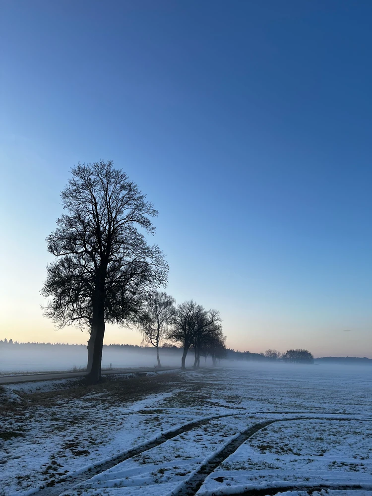 Obrázek nahrál Tereza
