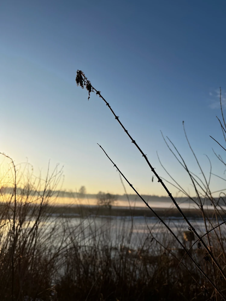 Obrázek nahrál Tereza