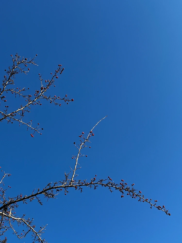 Obrázek nahrál Tereza