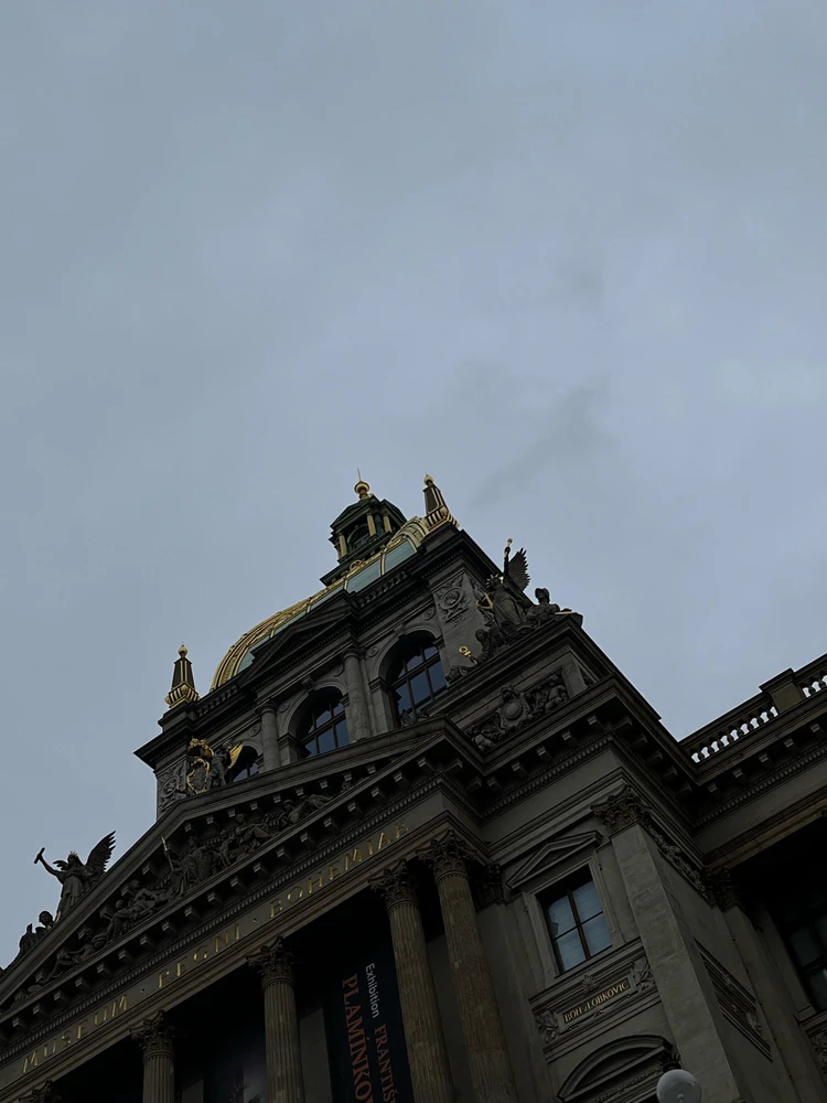 Obrázek nahrál Tereza