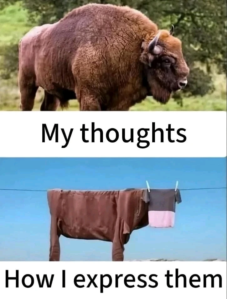 GIF uploaded by Andy