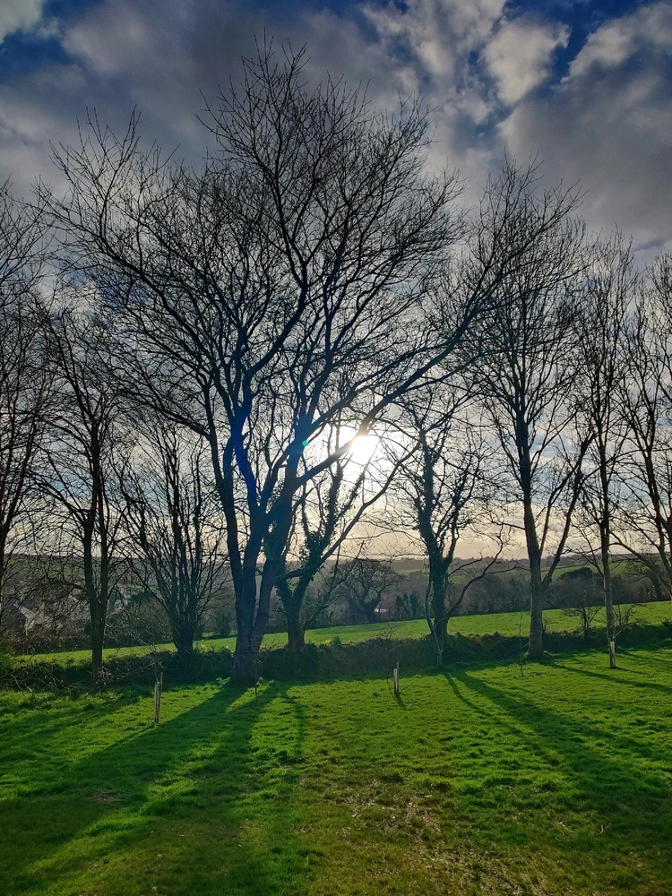 GIF uploaded by Jamie