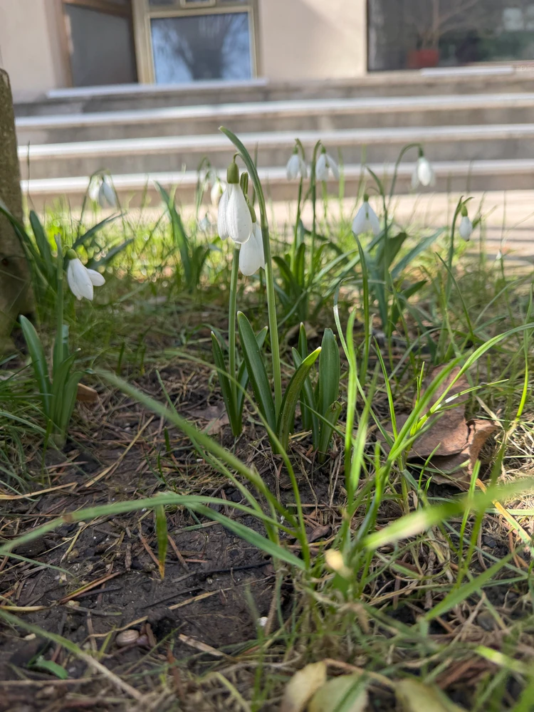 GIF uploaded by Alexandra