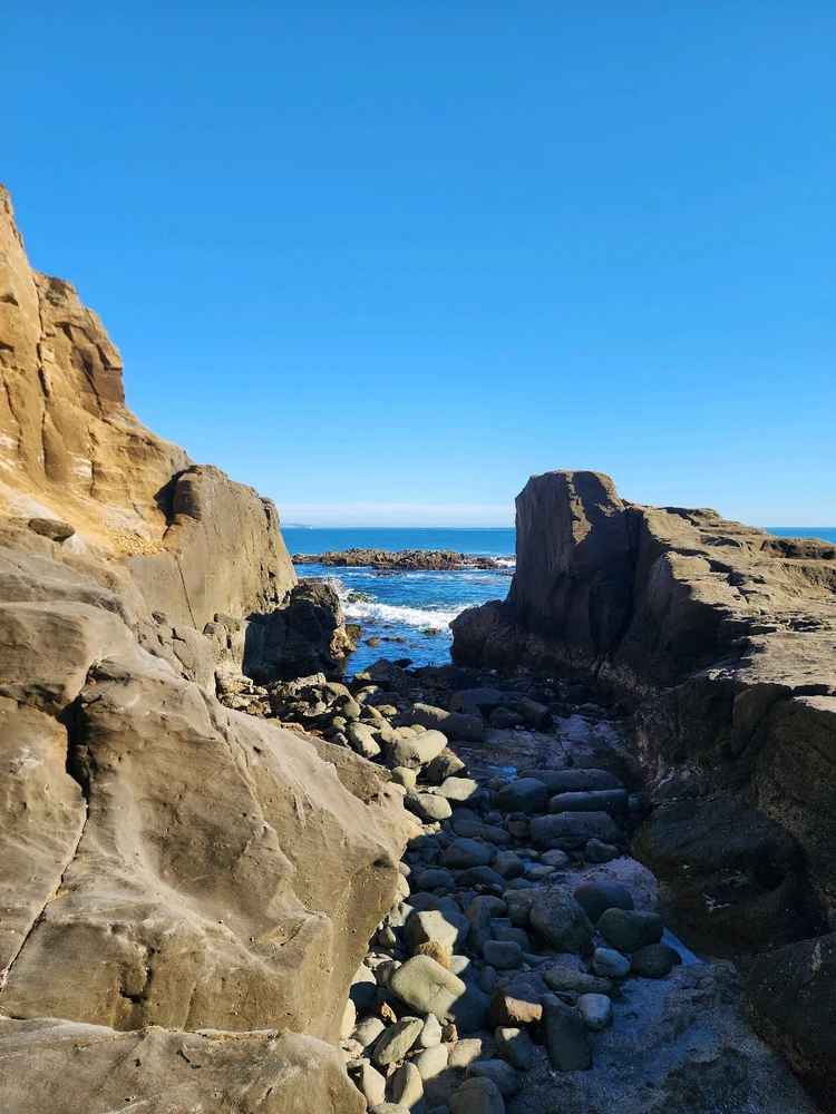 Image uploaded by Sergio