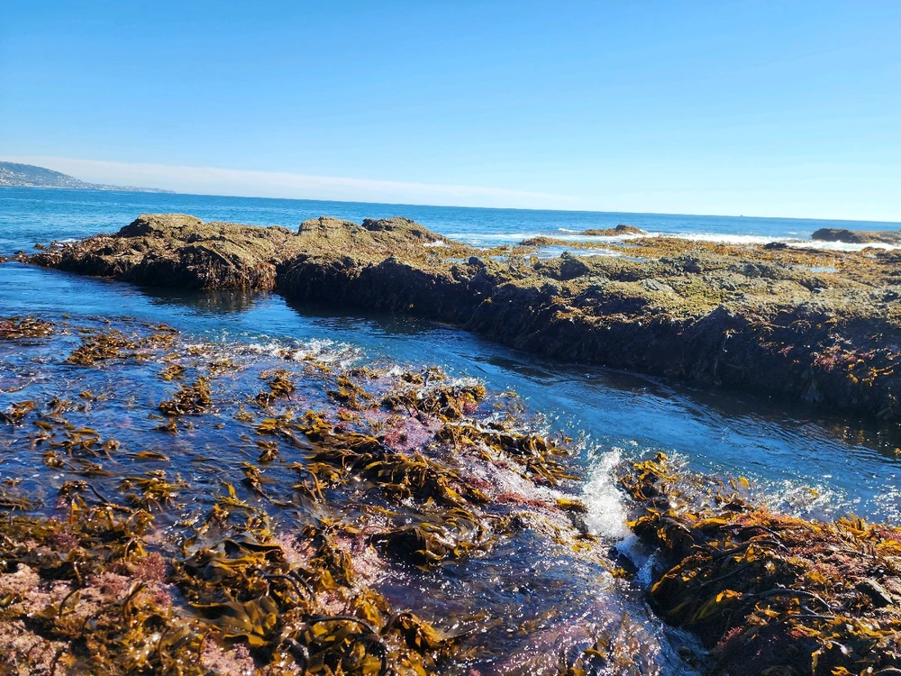 Image uploaded by Sergio