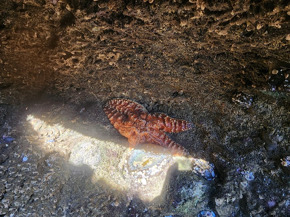 Image uploaded by Sergio