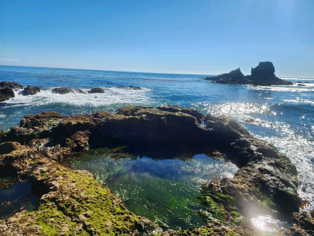 Image uploaded by Sergio