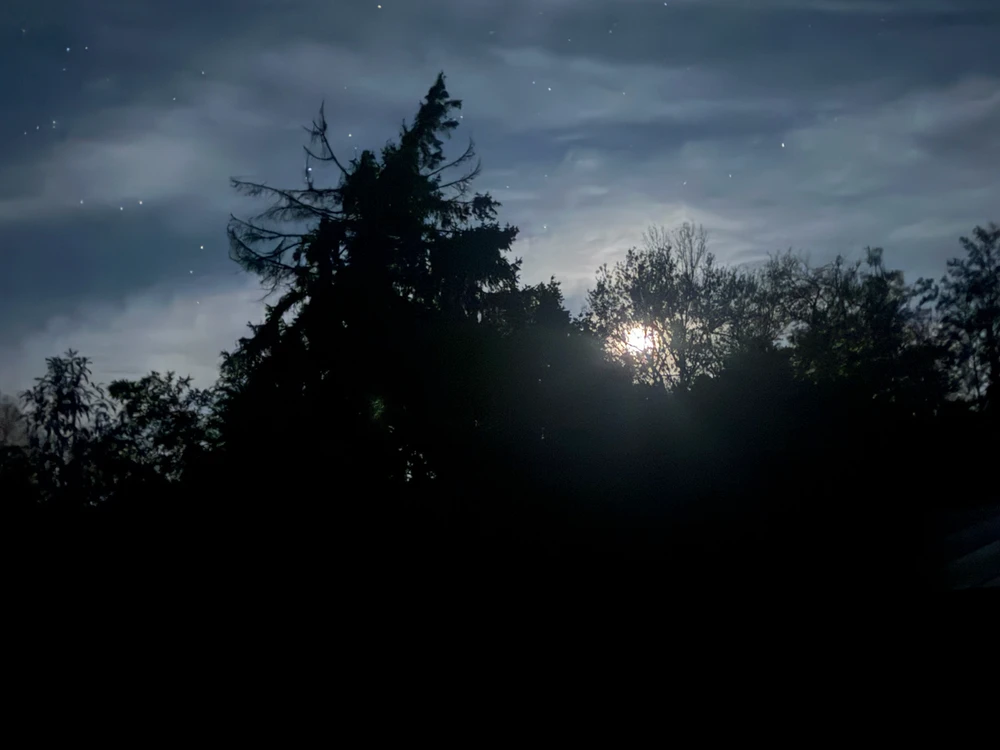 Image ajoutée par Loïc