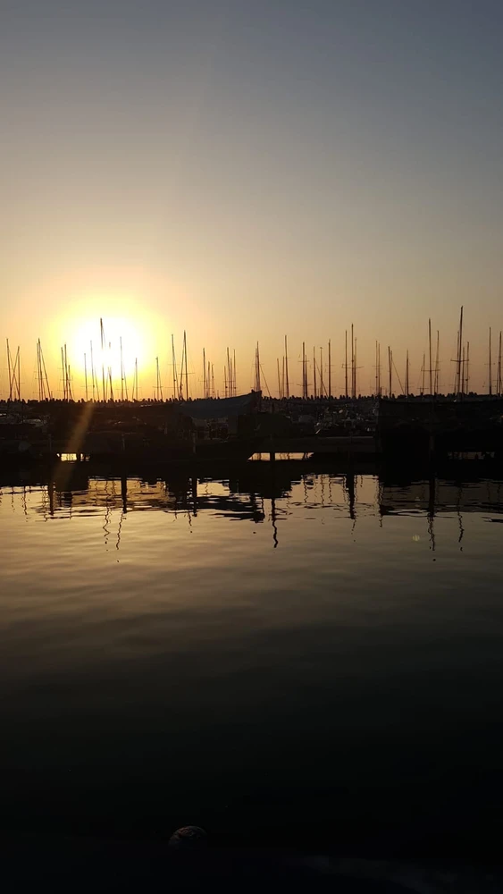 Image uploaded by MK