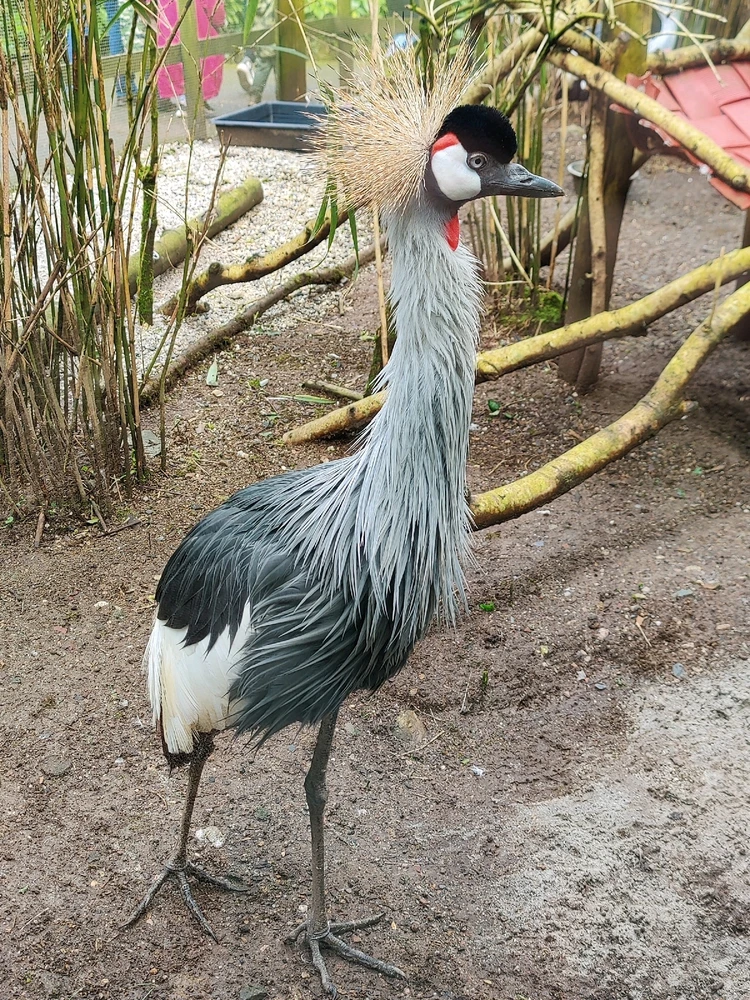 GIF uploaded by Jamie