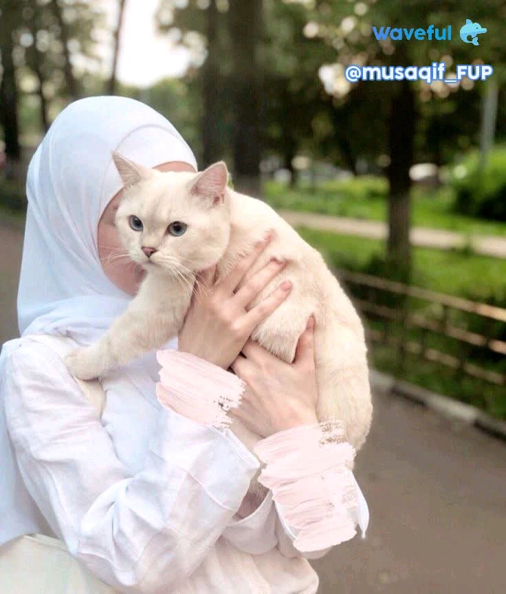 GIF diunggah oleh Aqif