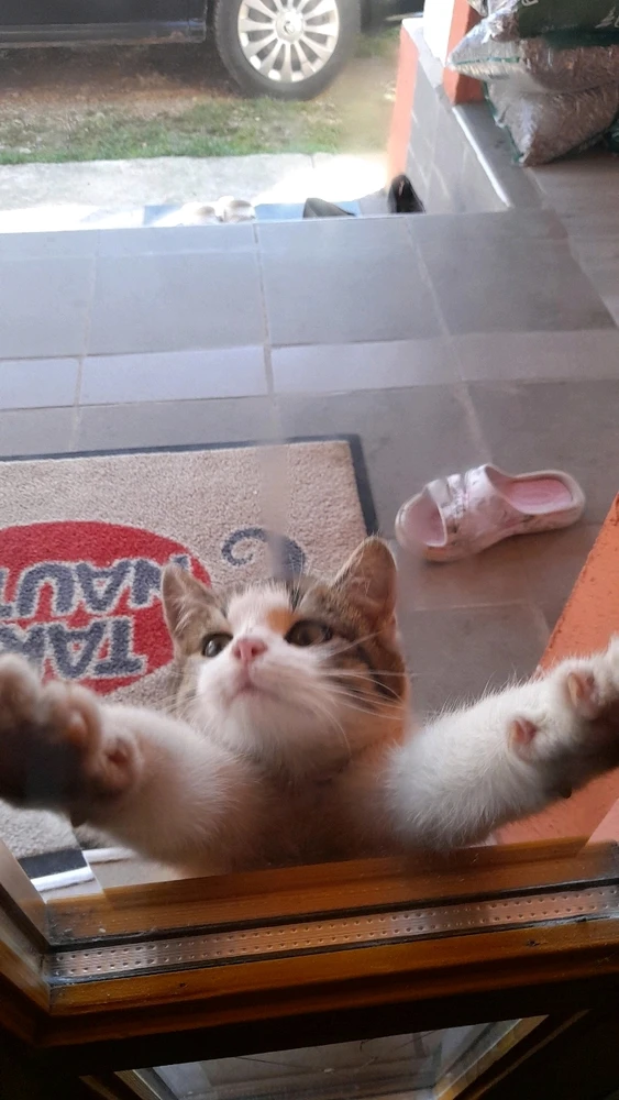 GIF uploaded by Nikola