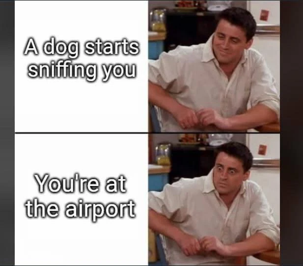 GIF uploaded by Caedus