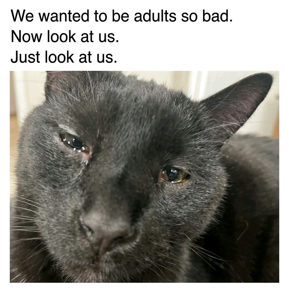 GIF uploaded by Chrif