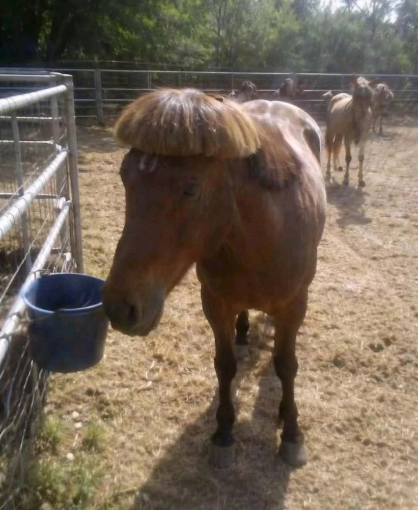 GIF uploaded by Amund