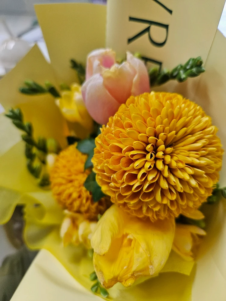 GIF uploaded by Hanan