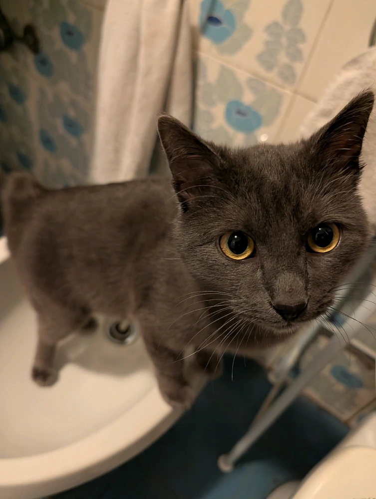 GIF caricata da Samuele