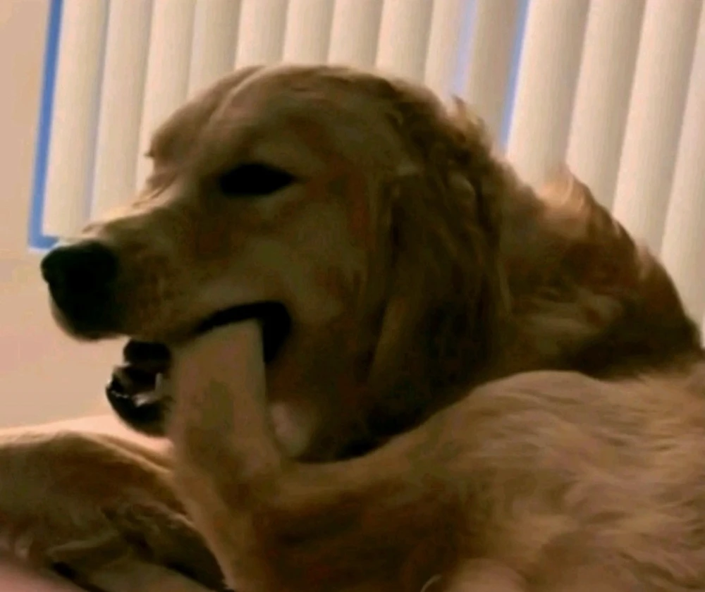 GIF uploaded by Francis