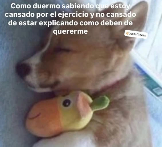 Imagen subida por Yamir