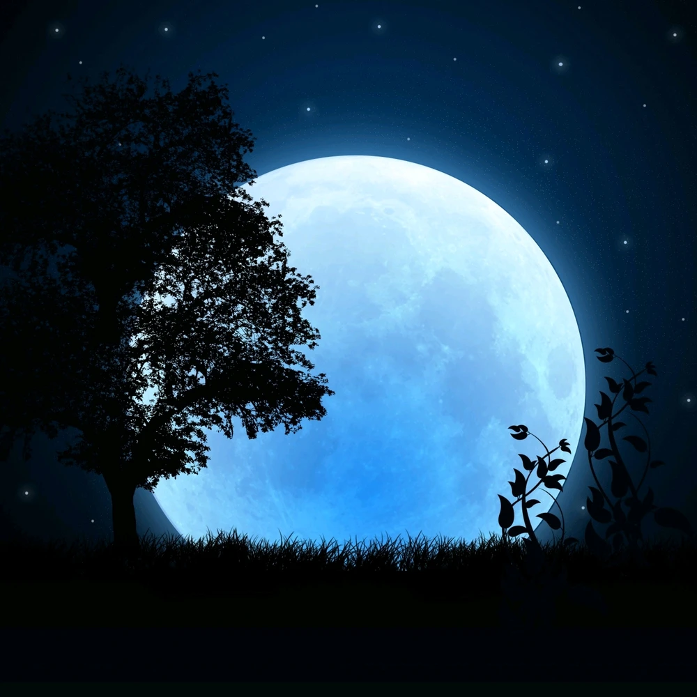 GIF uploaded by Jason 龙