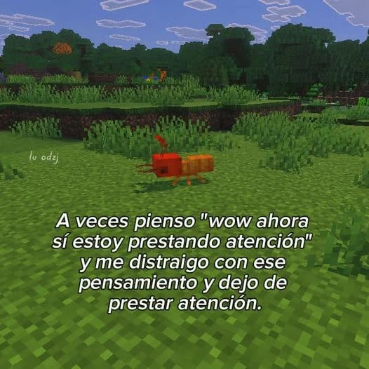 Imagen subida por Yamir