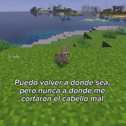 Imagen subida por Yamir