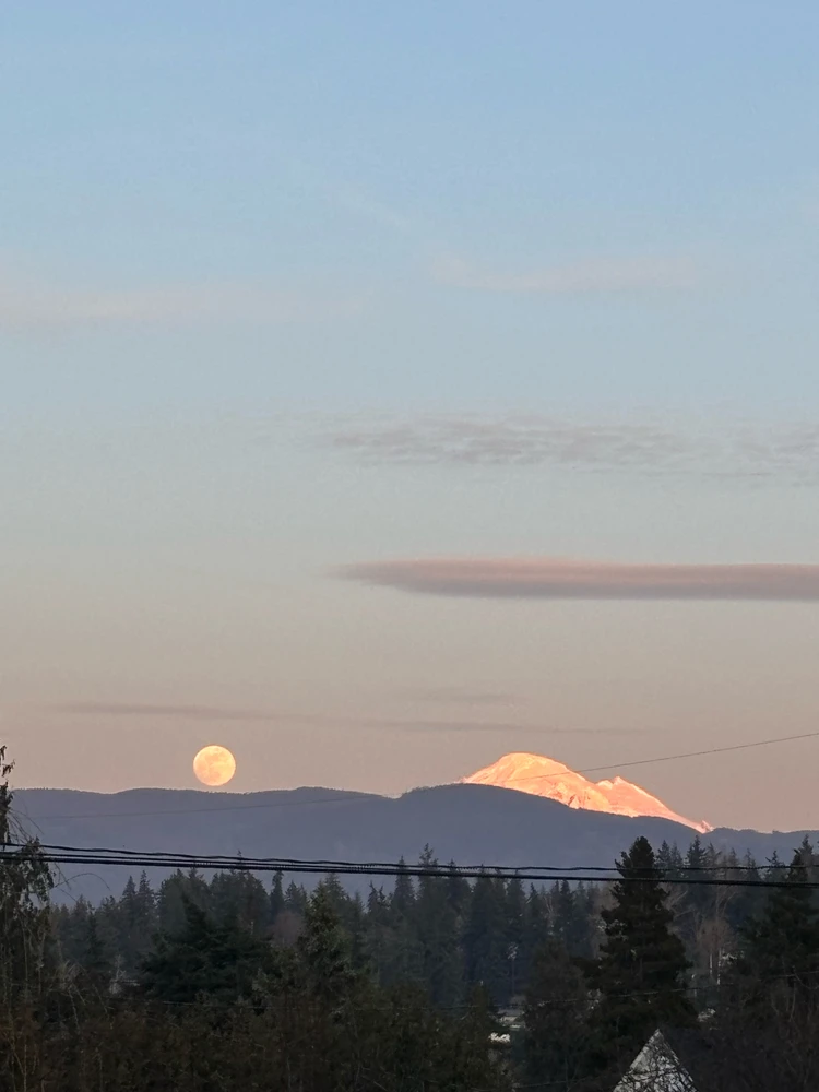 GIF uploaded by Cody