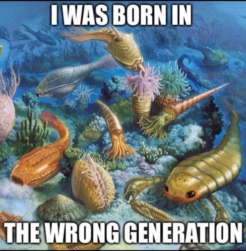 GIF uploaded by Ipek