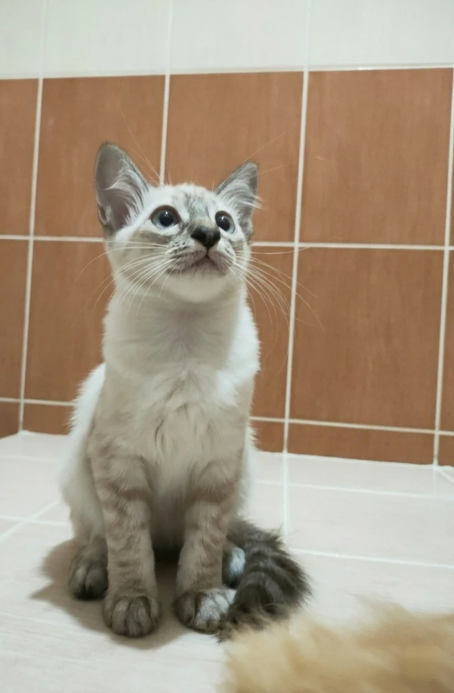 GIF uploaded by Jellyfish