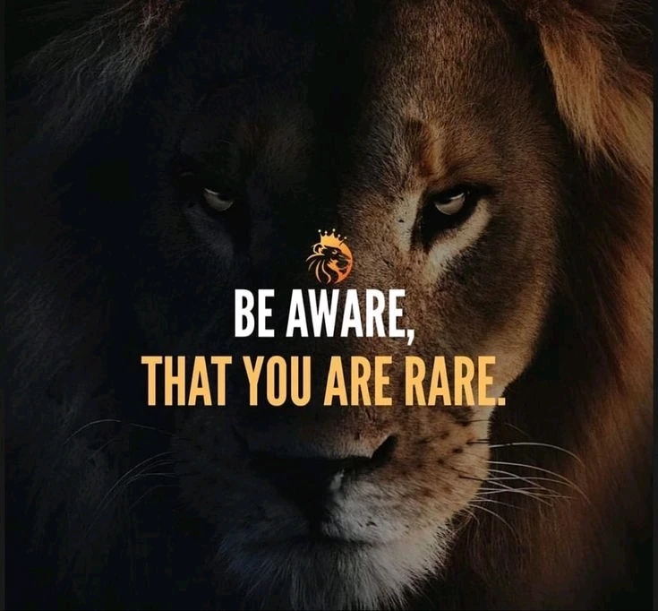 GIF uploaded by Ve E Ra