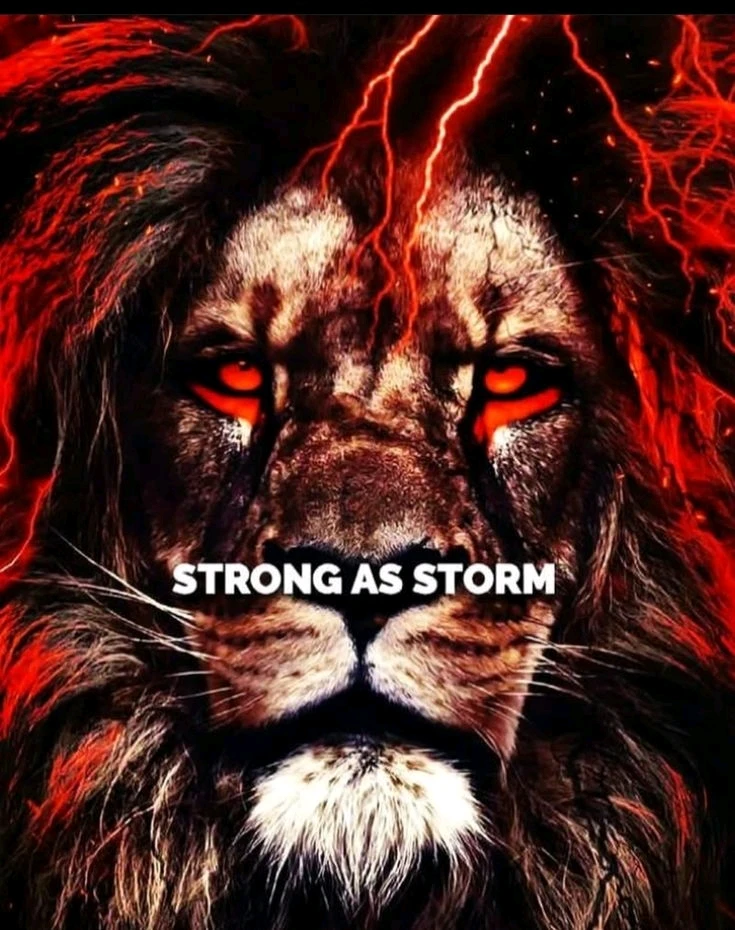 GIF uploaded by Ve E Ra