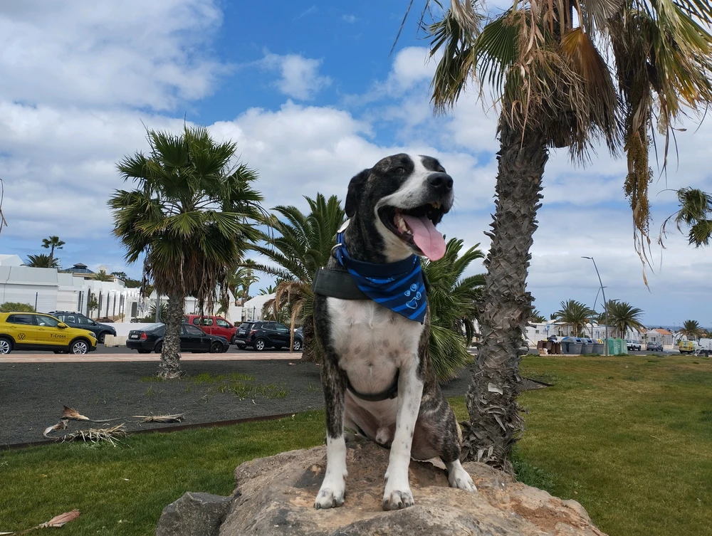 GIF uploaded by Robert