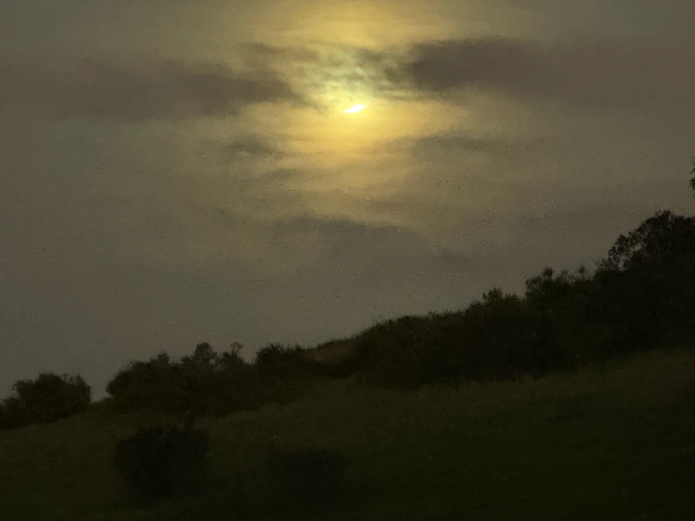 Image uploaded by Guy-O-Blanco