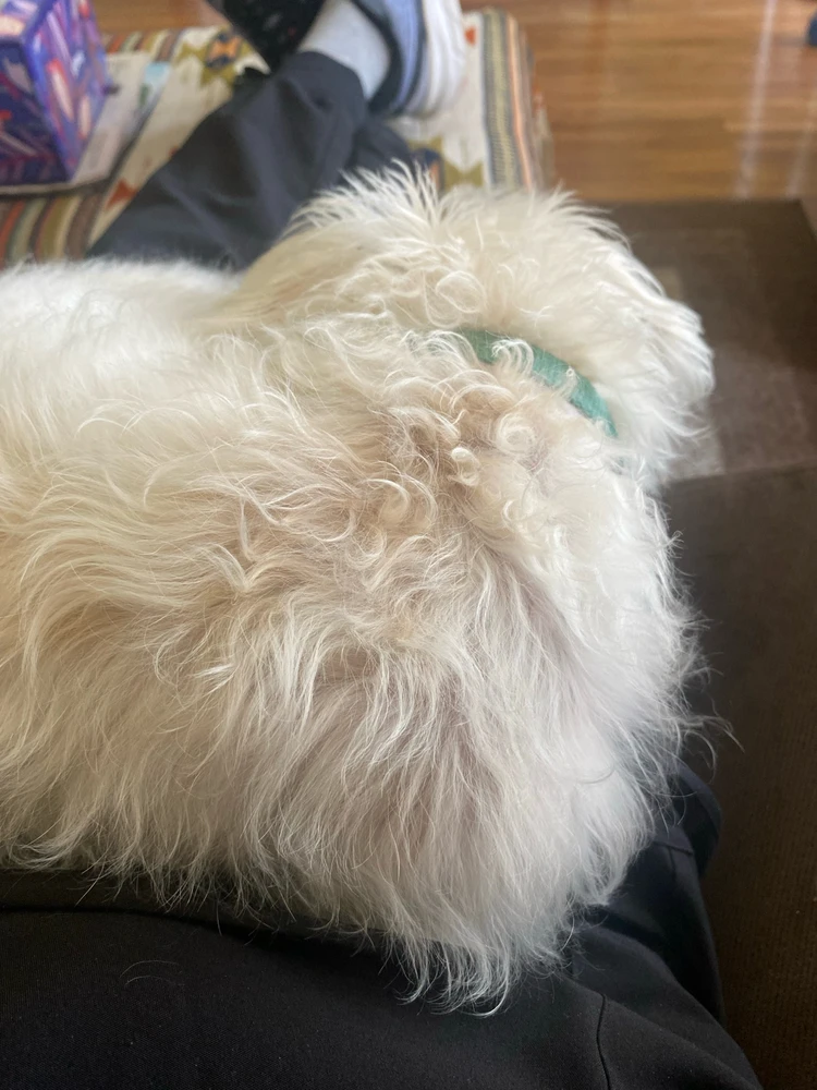 GIF uploaded by Selena