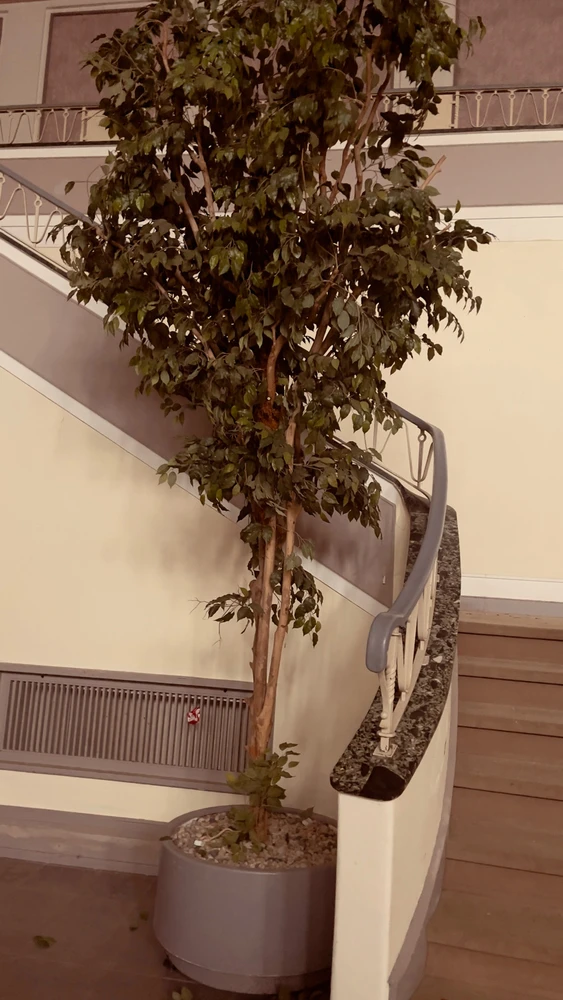 Bild hochgeladen von Nicolas