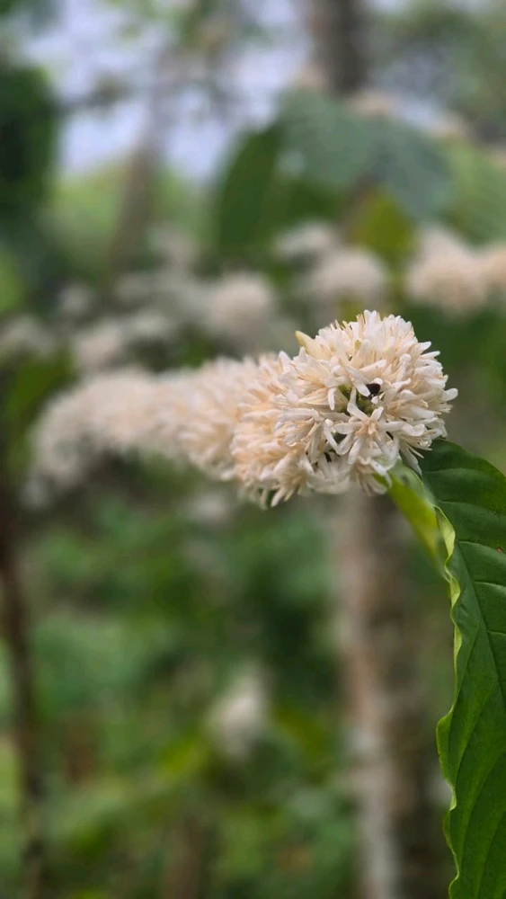 GIF uploaded by prasad