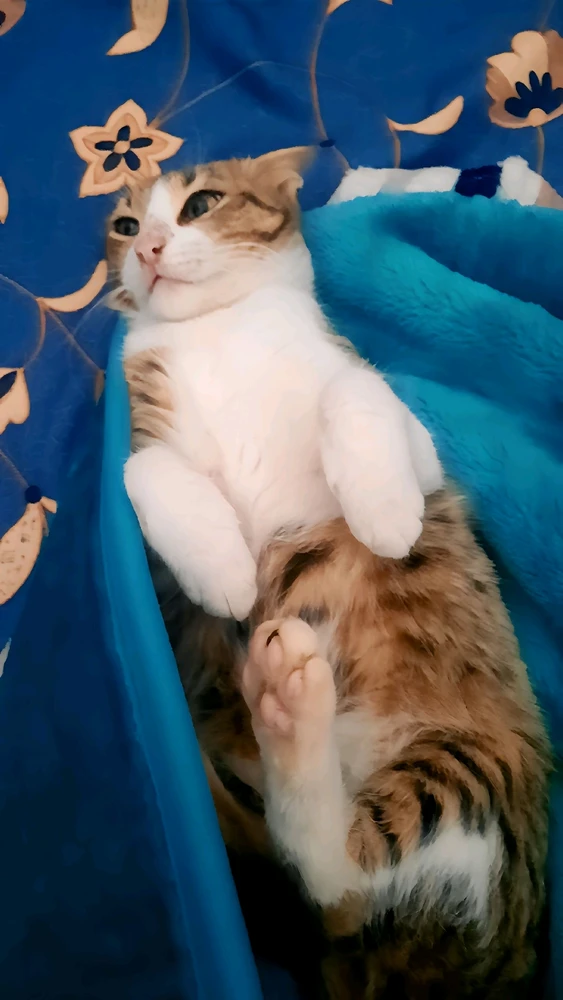 GIF uploaded by Raed