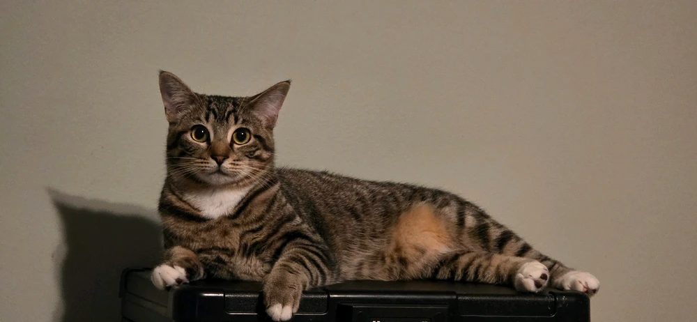 Image uploaded by Michael